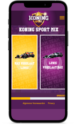 F1-Max-Lewis-scherm